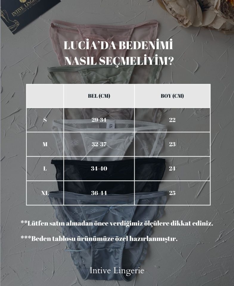 Lucia Japon Style Arkası Tül Saten Kurdele Detaylı Cheeky Külot/Slip-2858 Ekru - S